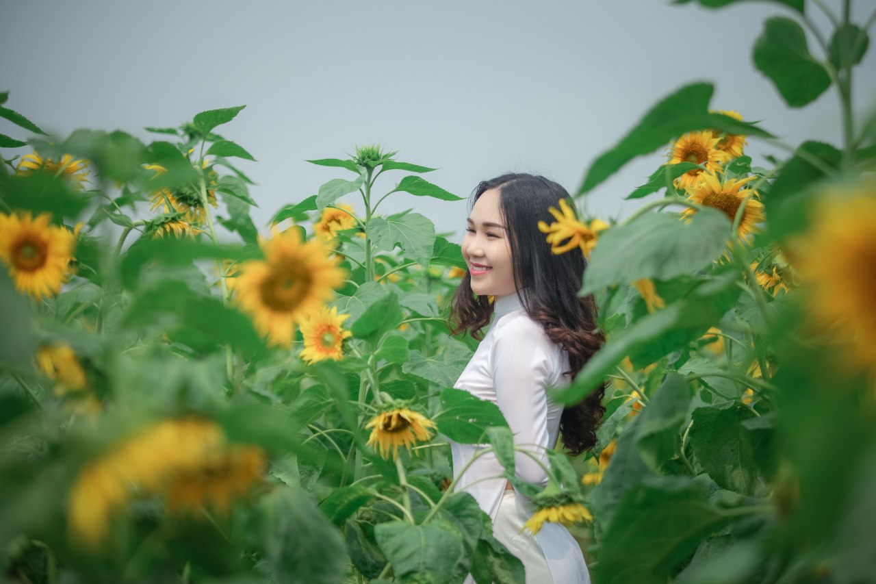 Chinese Brides